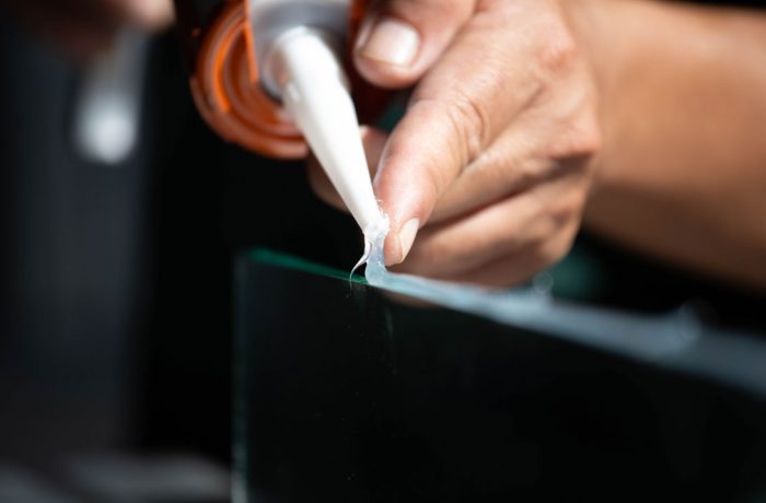 shutterstock_1250550031