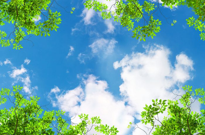 shutterstock_1457980892